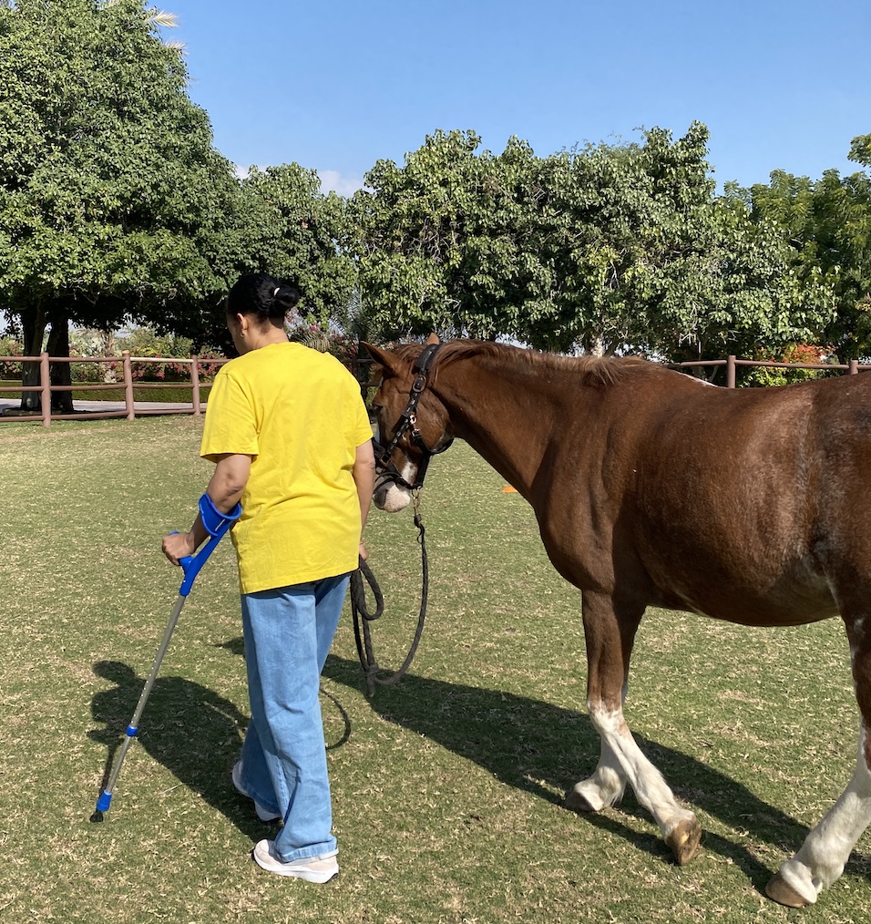 CSR activity horse therapy equine alzheimer chronic disease dubai