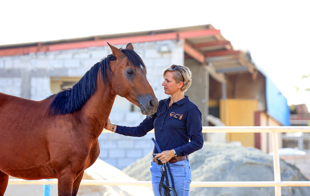 What is intuition and how to develop intuition with the help of horses?