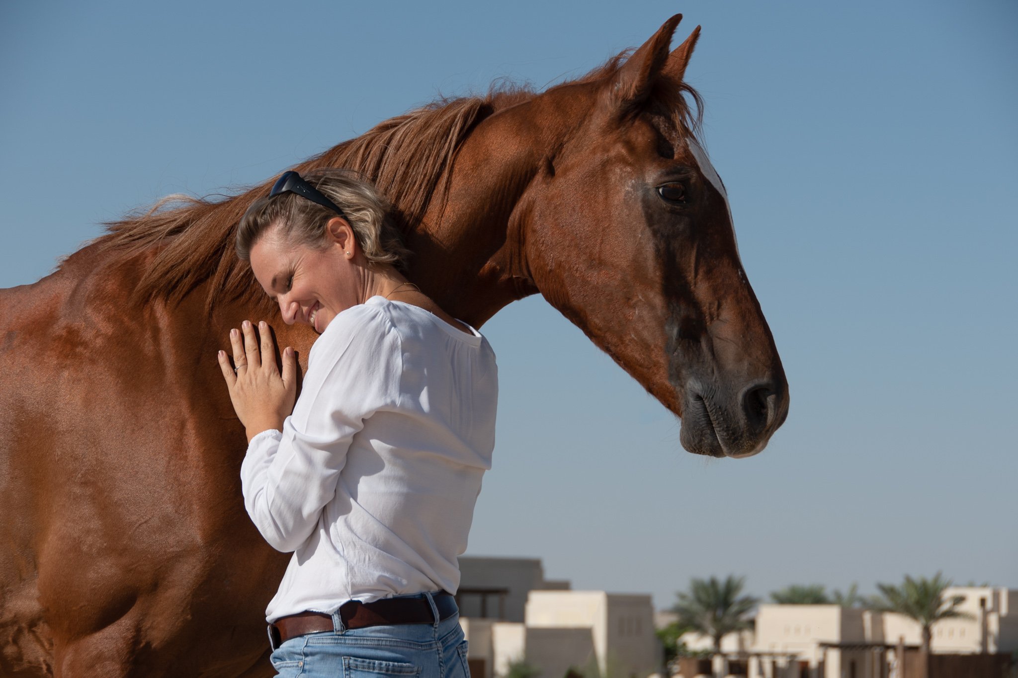 Horse Guided Empowerment, a revolutionary way to rethink Equine Assisted Psychotherapy in Mental Health Care