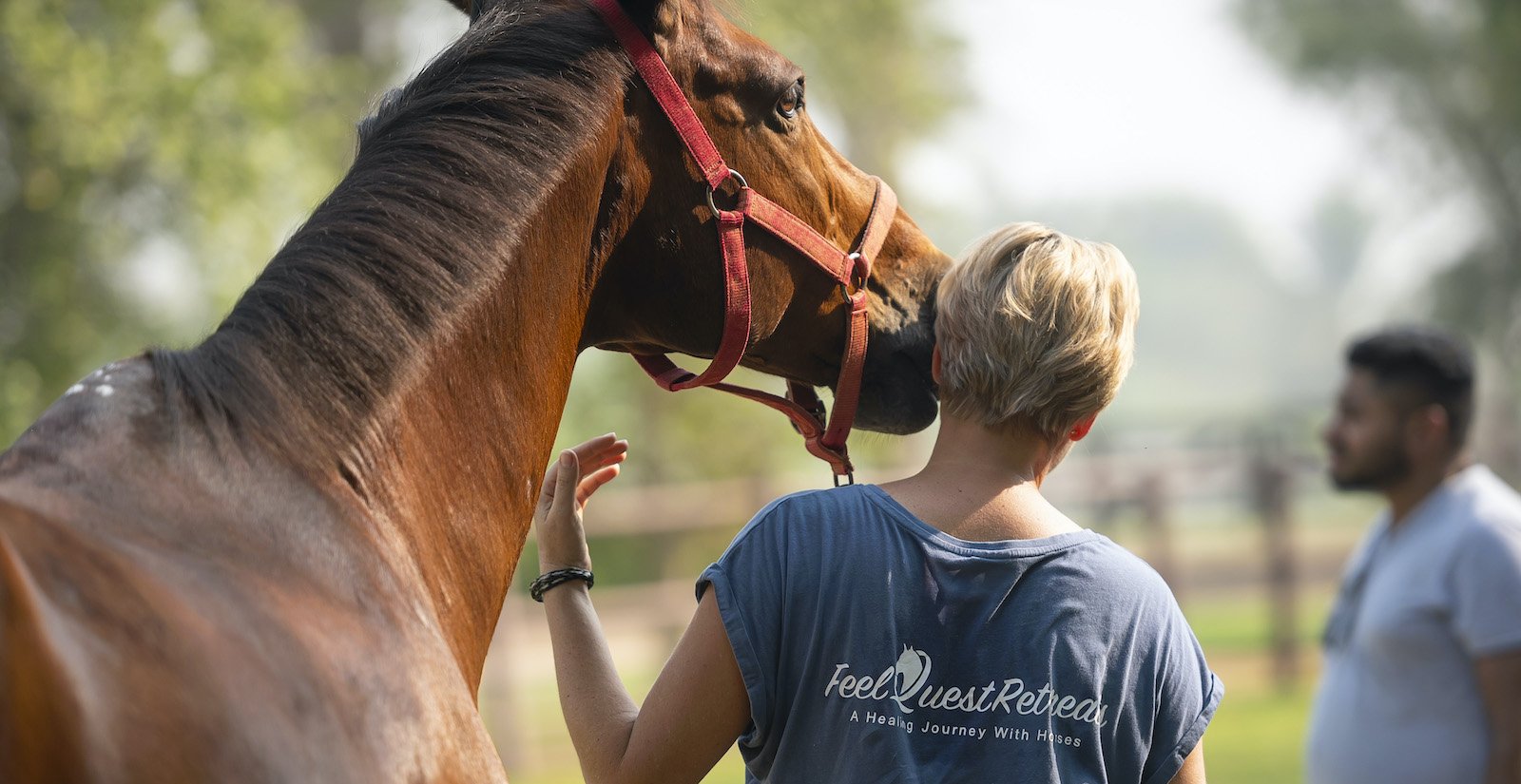 Corporate Training Horse touching