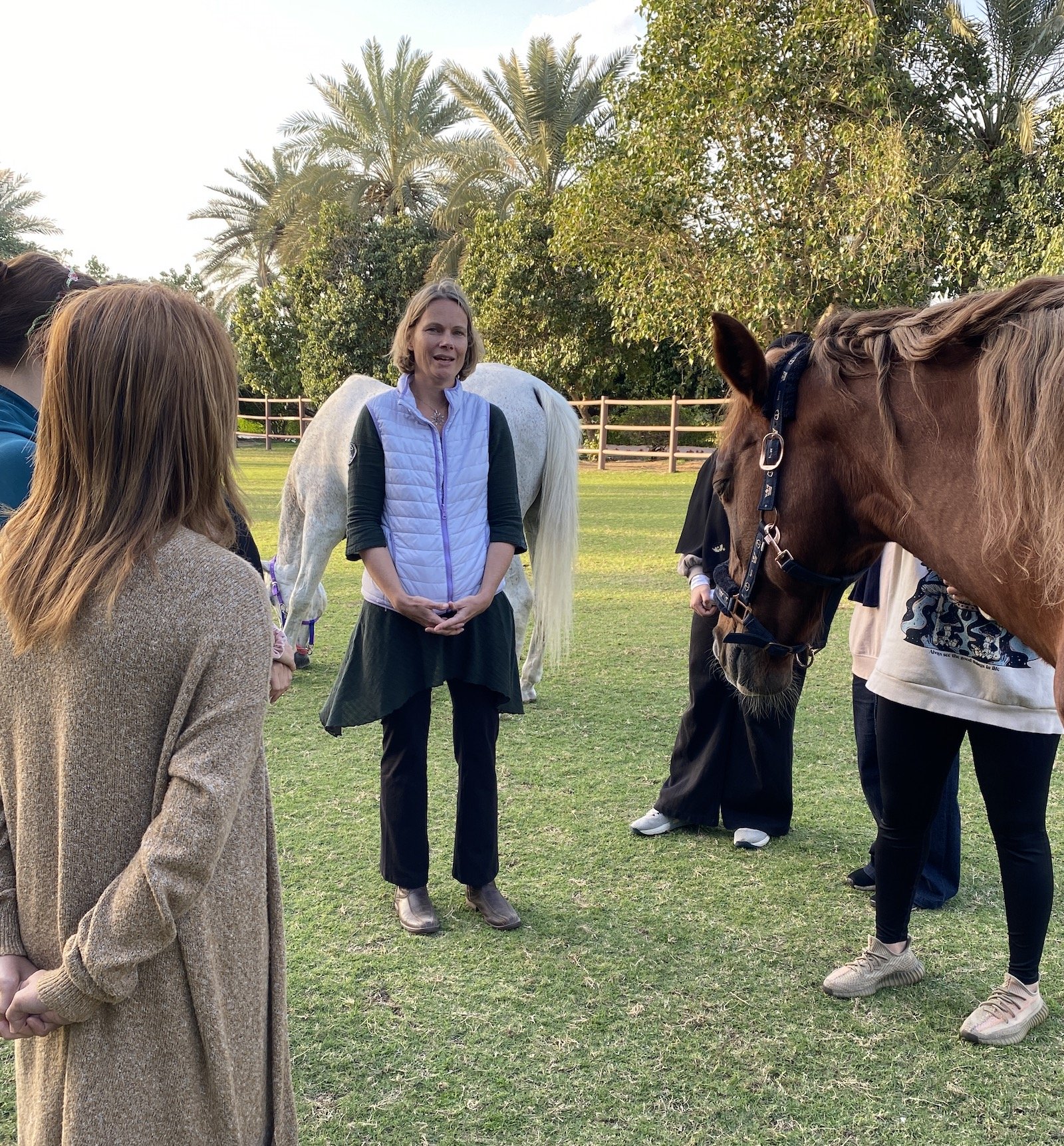 Natural horse training handling coaching psychology